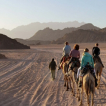 Quad Biking & Camel Riding in Sharm el Sheikh